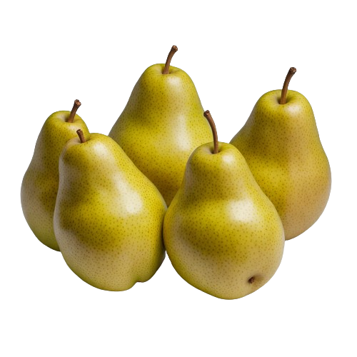 Asian Pear