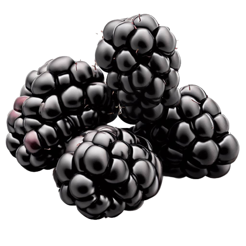 Berries