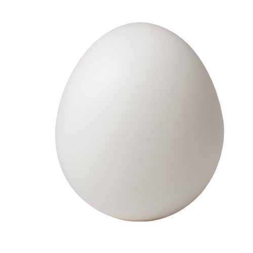Egg