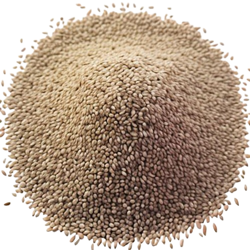 Fennel Seed