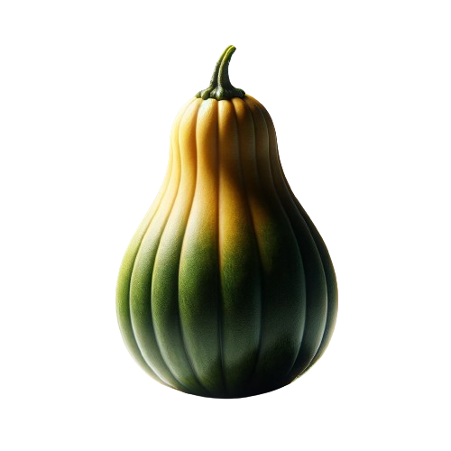 Green Summer Squash