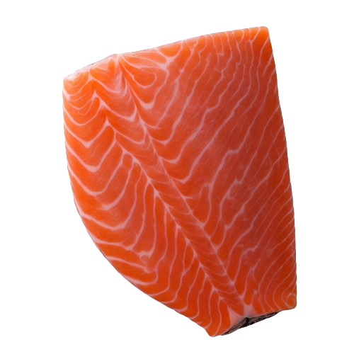 Pink salmon fish