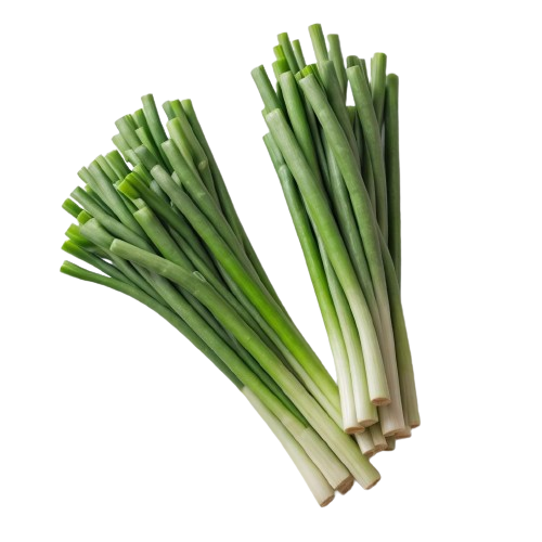 Scallion Onions