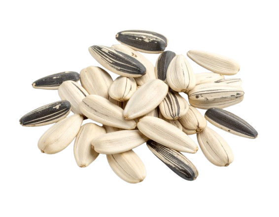 Sunflower seeds