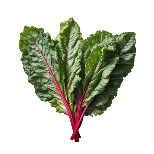 Swiss Chard