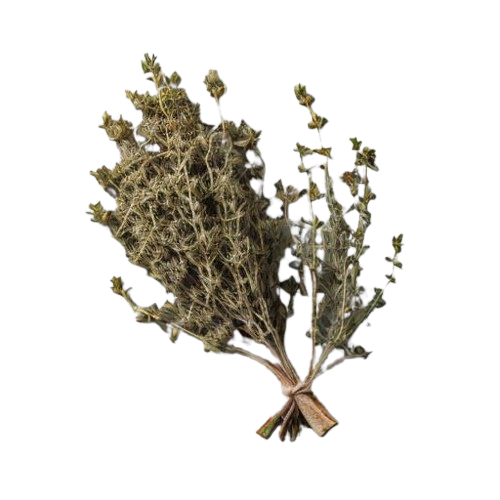 Thyme