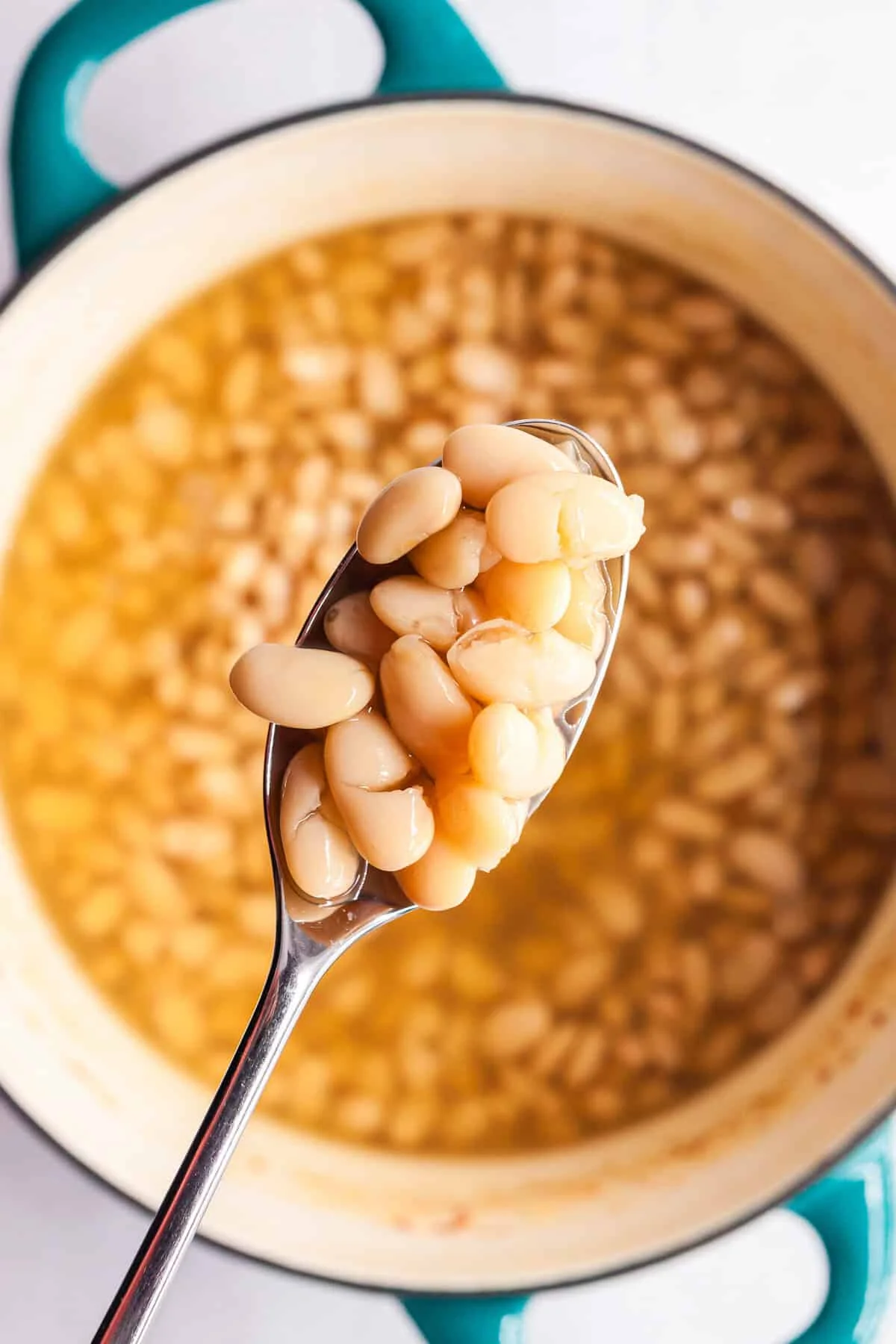 Simple Stovetop Great Northern Beans