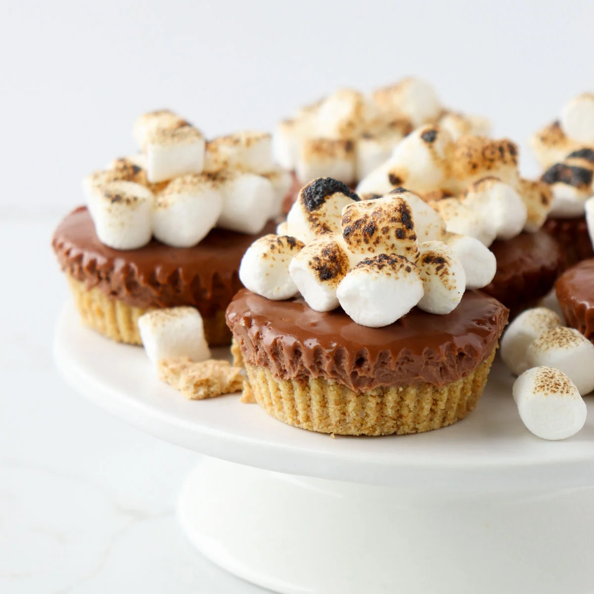 No-Bake Mini S'mores Cheesecakes