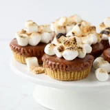 No-Bake Mini S'mores Cheesecakes