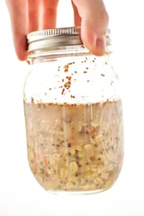 Carrot Cake Overnight Oats