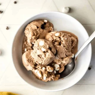 Cocoa Condensed Milk Ice Cream (No Churn)