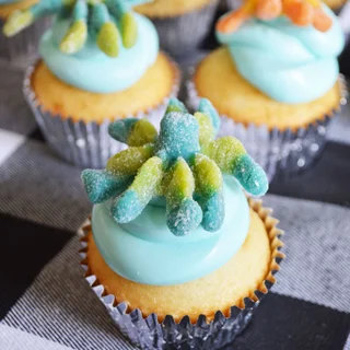 Octopus Cupcakes