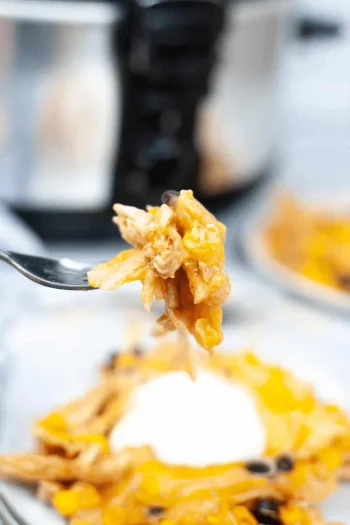 Slow Cooker Mexican Chicken Lasagna
