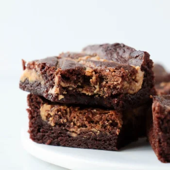 Chocolate Peanut Butter Brownies