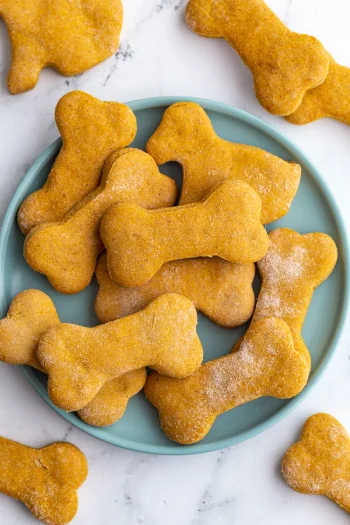 Pumpkin Dog Biscuits Recipe