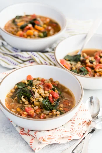 Crock Pot Lentil Veggie Stew