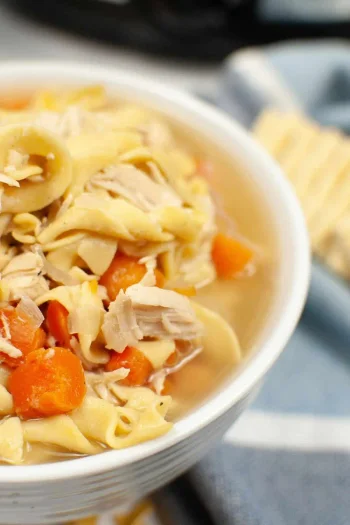 Slow Cooker Turkey Noodle Soup