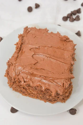 Cocoa Mayonnaise Cake