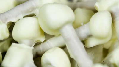 Halloween Pretzels Bones